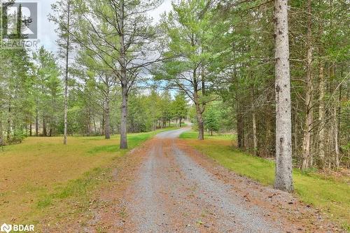 V - 1889 Melrose Road, Marysville, ON - Outdoor With View