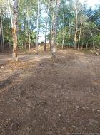 lot 24-2 Brown's Cove RD  Kars, NB E5T 2Z2