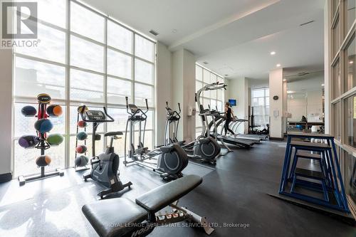 808 - 125 Western Battery Road, Toronto, ON - Indoor Photo Showing Gym Room