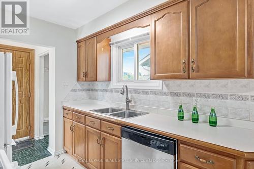 47 Endfield Avenue, Hamilton, ON - Indoor Photo Showing Kitchen With Double Sink