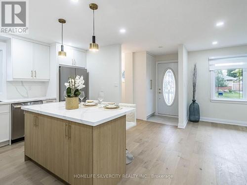 47 Alderney Avenue, Hamilton, ON - Indoor Photo Showing Kitchen With Upgraded Kitchen