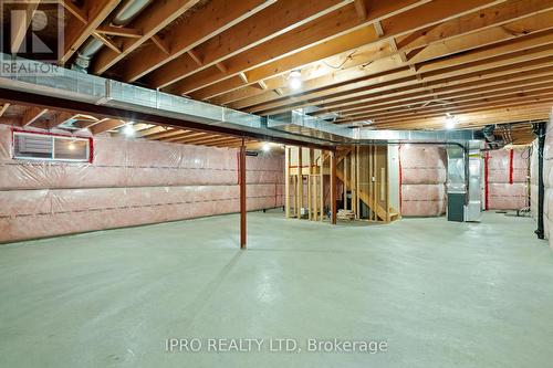 10 Marianne Dorn Trail, Kitchener, ON - Indoor Photo Showing Basement