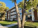 #58 11265 31 Av Nw, Edmonton, AB 