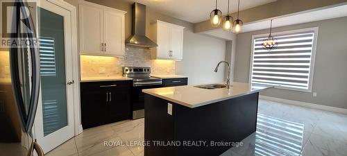 12 Honey Bend, St. Thomas, ON - Indoor Photo Showing Kitchen With Double Sink With Upgraded Kitchen