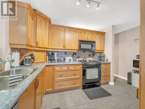 1885 Luxury Avenue, Windsor, ON - Indoor Photo Showing Kitchen With Double Sink