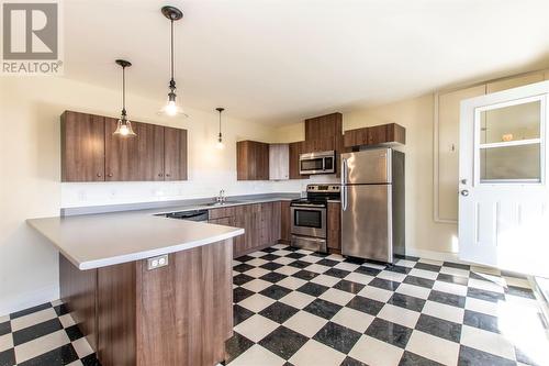 47 Long Run Road, Petty Harbour, NL - Indoor Photo Showing Kitchen