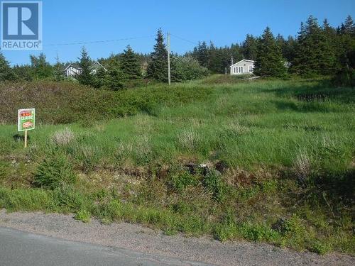 136 Main Road, Bristol'S Hope, NL 