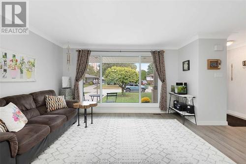 341 Genevieve Street, Windsor, ON - Indoor Photo Showing Living Room