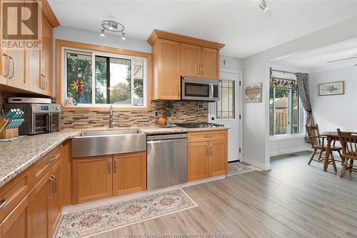 341 Genevieve Street, Windsor, ON - Indoor Photo Showing Kitchen With Double Sink