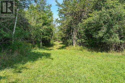 2018 County Road 9 Road, Greater Napanee, ON - Outdoor