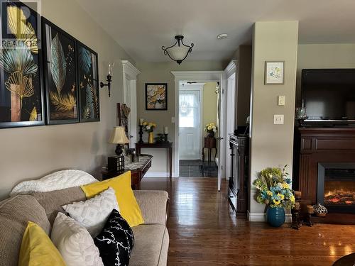 19 Penwell Street, Gander, NL - Indoor Photo Showing Living Room With Fireplace