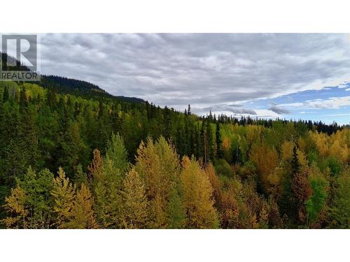 44 Sukunka Place, Tumbler Ridge, BC - Outdoor With View