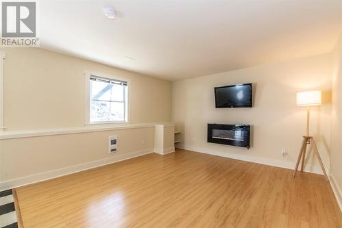 47 Long Run Road, Petty Harbour, NL - Indoor Photo Showing Living Room With Fireplace