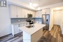 C17 - 10 Palace Street, Kitchener, ON  - Indoor Photo Showing Kitchen With Stainless Steel Kitchen 