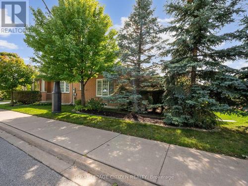 48 Calliandra Trail, Brampton, ON 