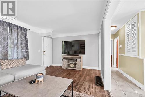 101 Warren Avenue, Hamilton, ON - Indoor Photo Showing Living Room