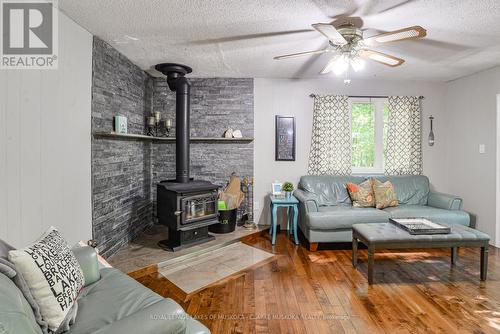 1005 Road 3300, Gravenhurst, ON - Indoor Photo Showing Living Room With Fireplace