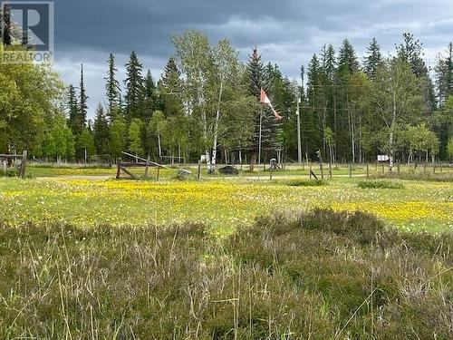 8011 Thompson Road, Kimberley, BC - Outdoor With View