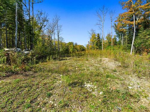 Land/Lot - 1305 Ch. Du Tour-Du-Lac, Saint-Aimé-Du-Lac-Des-Îles, QC - Outdoor With View