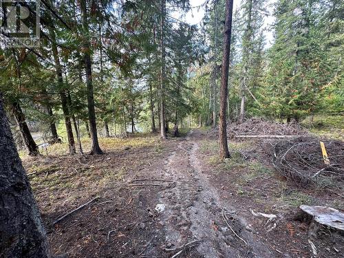 100 Shuswap River Drive, Lumby, BC - Outdoor With View