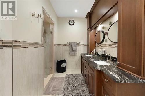 3740 Donato Drive, Lasalle, ON - Indoor Photo Showing Bathroom