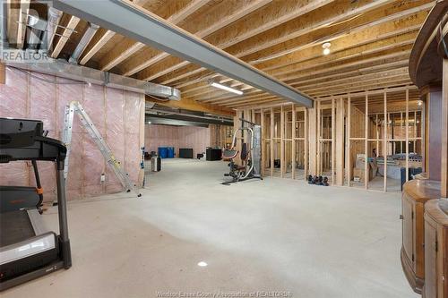 3740 Donato Drive, Lasalle, ON - Indoor Photo Showing Basement