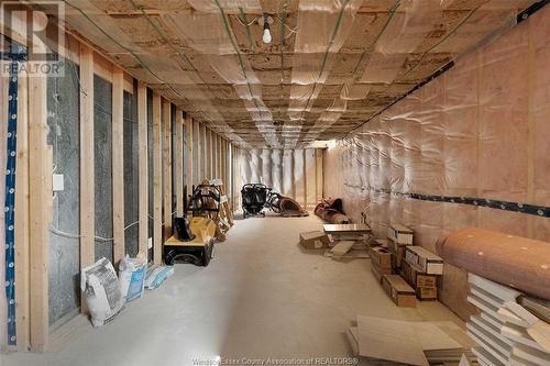 3740 Donato Drive, Lasalle, ON - Indoor Photo Showing Basement