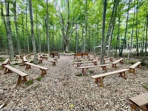 FOREST CATHEDRAL - 215588 Concession 4, Chatsworth (Twp), ON - Outdoor