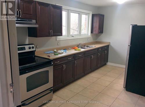 1771 Wavell Street, London, ON - Indoor Photo Showing Kitchen With Double Sink