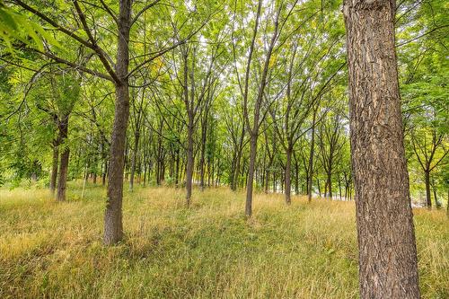 848 Webster Road, Kelowna, BC - Outdoor With View