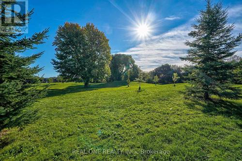 183 Edmonton Drive, Toronto, ON - Outdoor With View