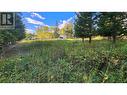 Lot 8 Litwin Place, 108 Mile Ranch, BC 