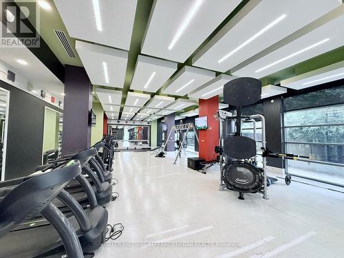 904 - 55 Ann O'Reilly Road, Toronto, ON - Indoor Photo Showing Gym Room