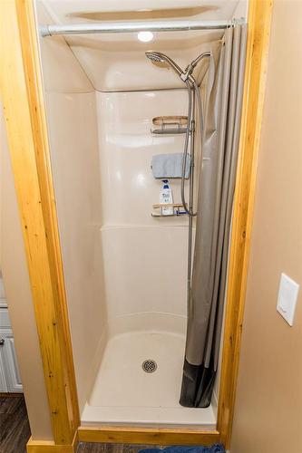 28021 17N Road, Stanley Rm, MB - Indoor Photo Showing Bathroom