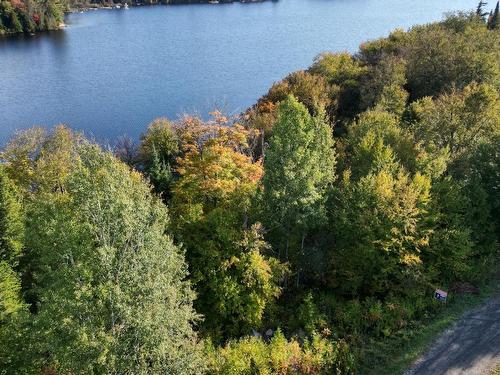 Vue d'ensemble - Ch. Du Lac-Théodore, Morin-Heights, QC 