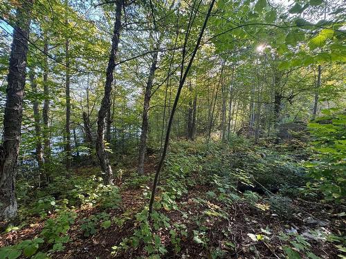 Vue d'ensemble - Ch. Du Lac-Théodore, Morin-Heights, QC 