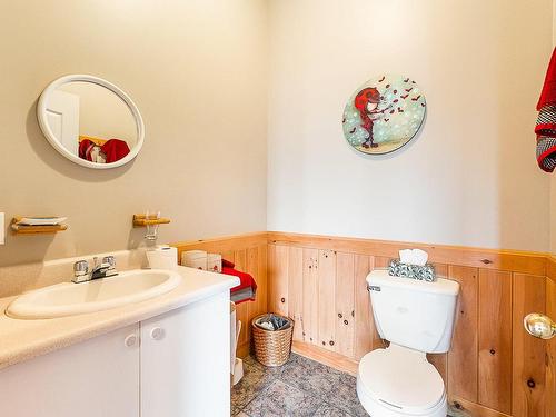 Powder room - 3468 Ch. Hopps, Austin, QC - Indoor Photo Showing Bathroom