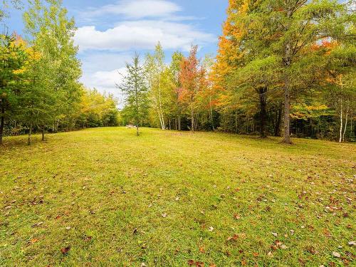 Patio - 3468 Ch. Hopps, Austin, QC - Outdoor With View