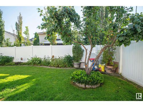 15723 93 St Nw, Edmonton, AB - Outdoor With Backyard