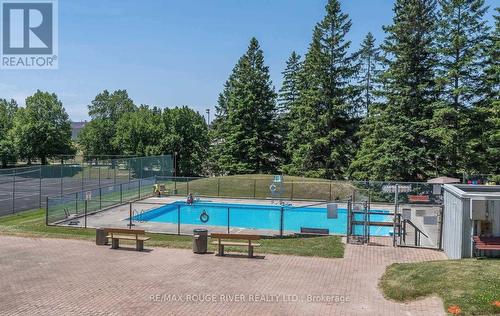 204 - 44 Falby Court W, Ajax, ON - Outdoor With In Ground Pool With Backyard