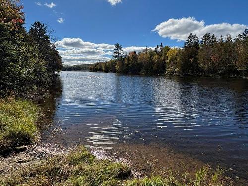 Bord de l'eau - 1091 Ch. Du Lac-Paquet E., Rivière-Rouge, QC - Outdoor With Body Of Water With View