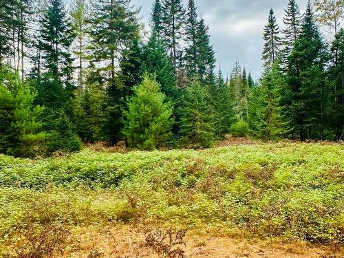 Land/Lot - Ch. Du Rapide, Rivière-Rouge, QC 