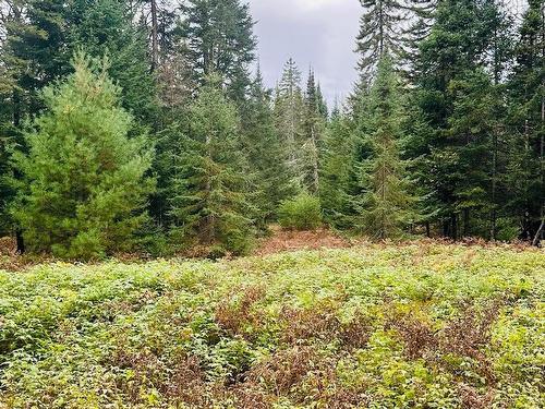 Land/Lot - Ch. Du Rapide, Rivière-Rouge, QC 