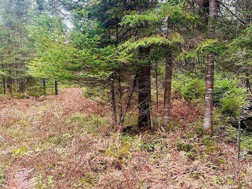 Land/Lot - Ch. Du Rapide, Rivière-Rouge, QC 