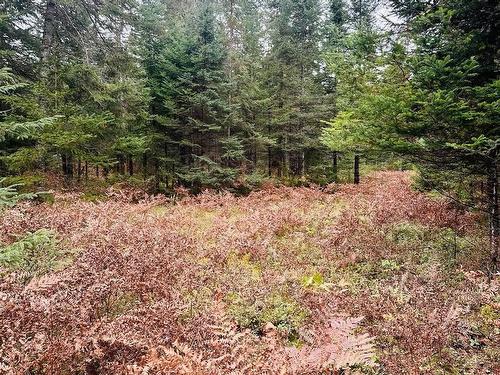 Land/Lot - Ch. Du Rapide, Rivière-Rouge, QC 