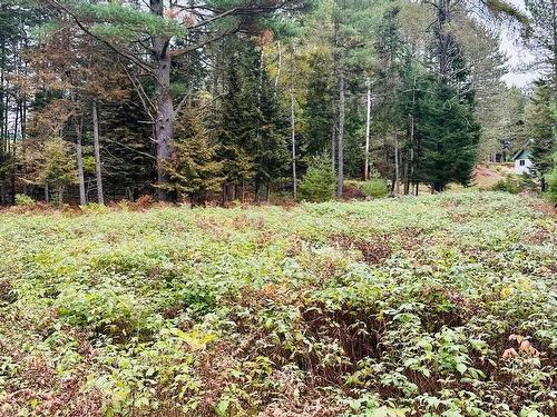 Land/Lot - Ch. Du Rapide, Rivière-Rouge, QC 