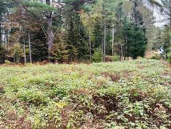 Land/Lot - 