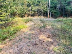 Land/Lot - 