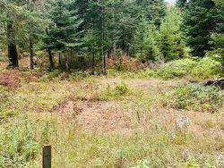 Land/Lot - 