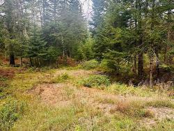 Land/Lot - 